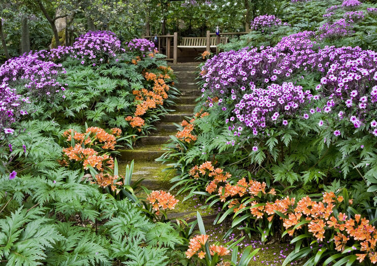 Santa Barbara Botanic Garden (SBBG)
